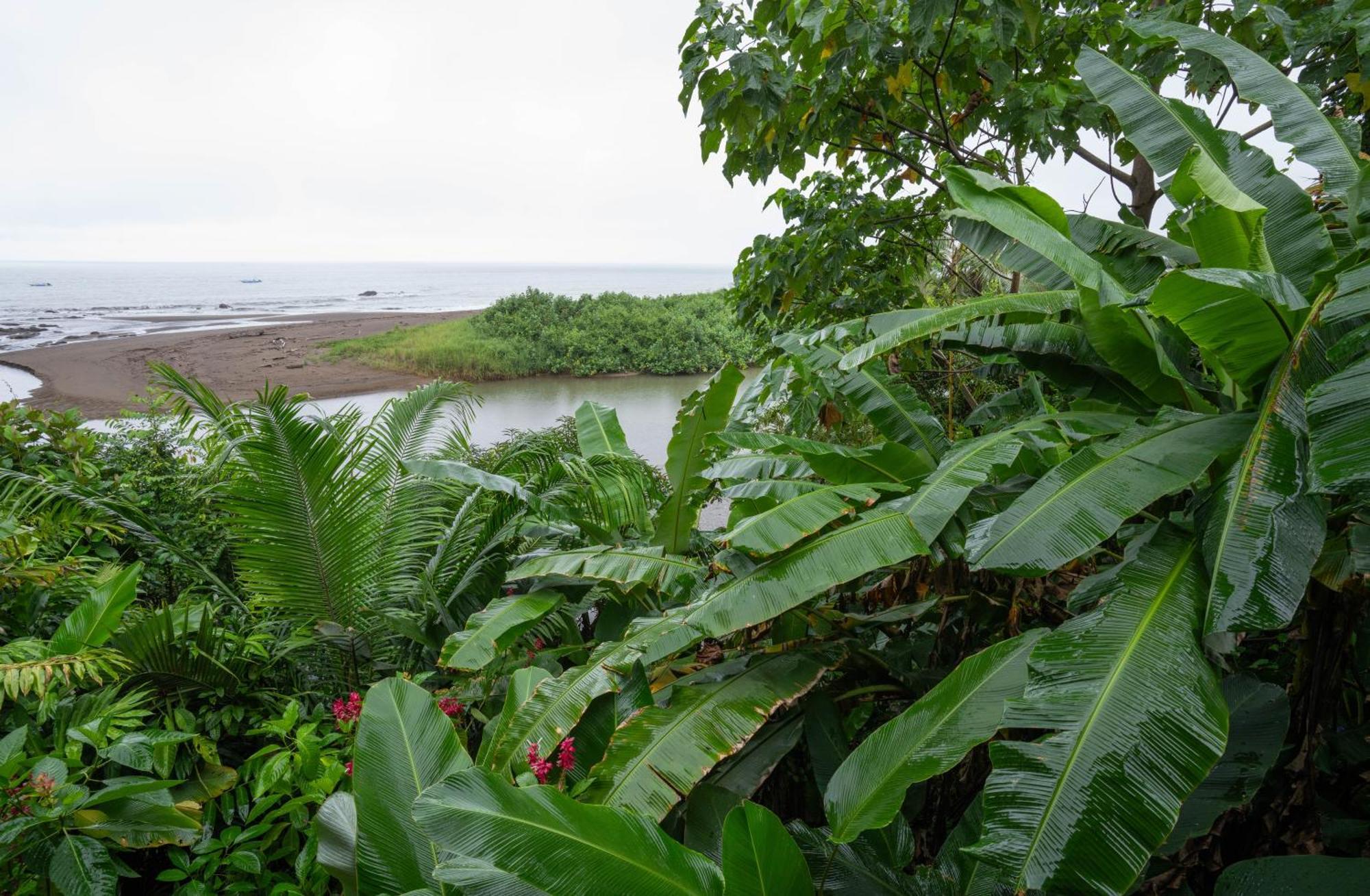 Hotel Pirate Cove Drake Bay Zewnętrze zdjęcie