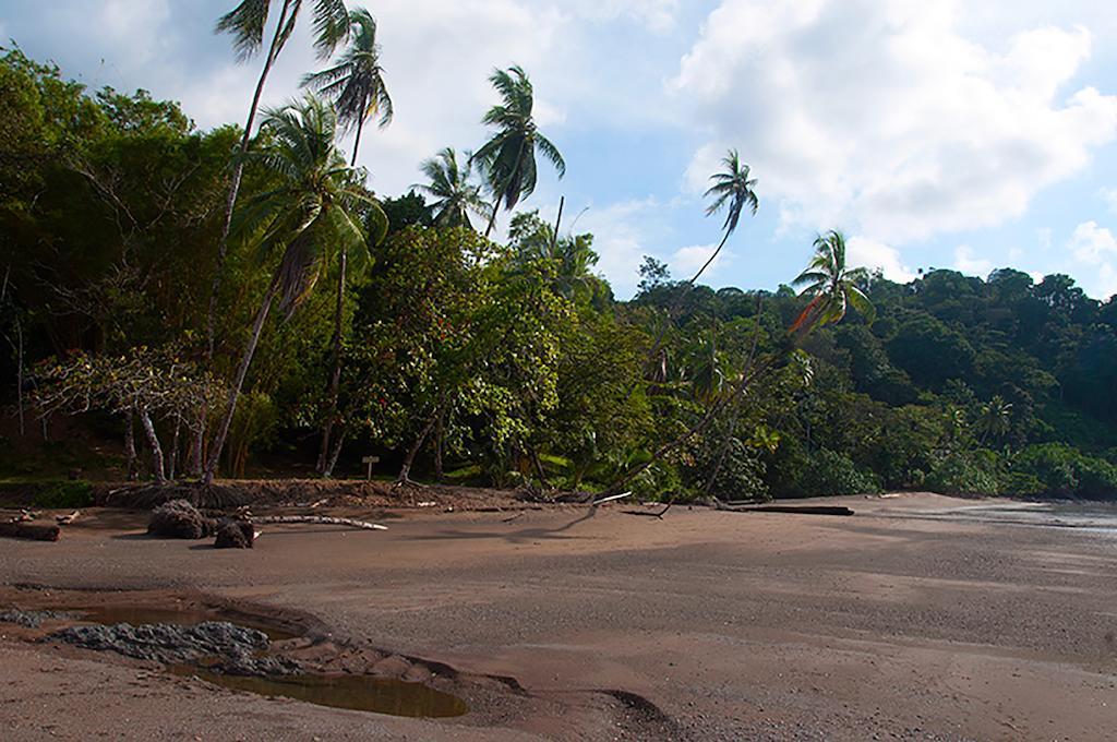 Hotel Pirate Cove Drake Bay Zewnętrze zdjęcie