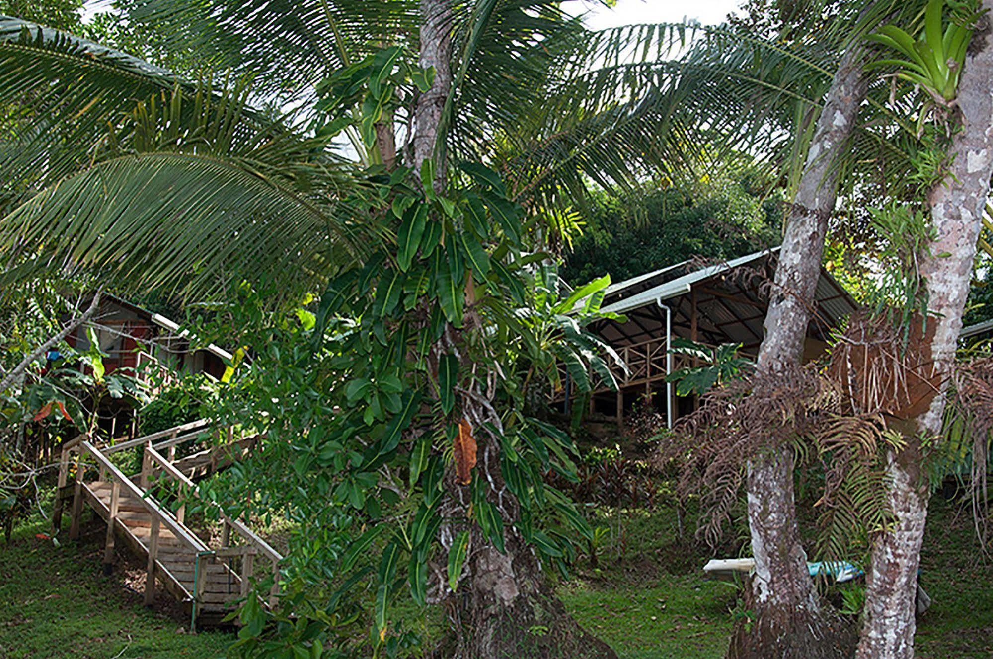Hotel Pirate Cove Drake Bay Zewnętrze zdjęcie